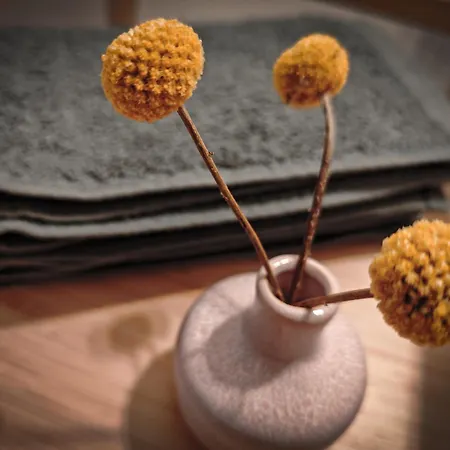 Apartment Im Paulusviertel Mit Balkon Und Fahrraedern 58 Qm *