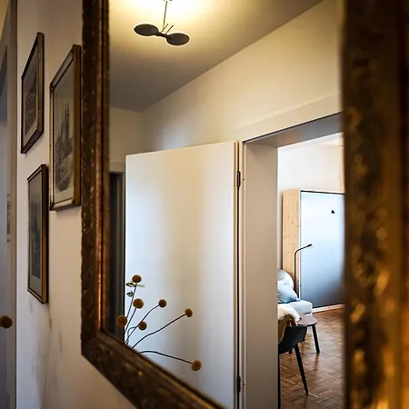 Apartment Im Paulusviertel Mit Balkon Und Fahrraedern 58 Qm Halle (Saale)