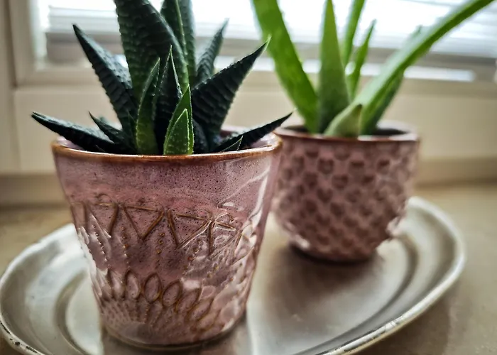 Im Paulusviertel Mit Balkon Und Fahrraedern 58 Qm Lejlighed *